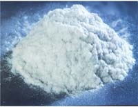 Modified wollastonite powder